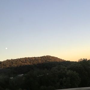 Meet your Posher, Emilee